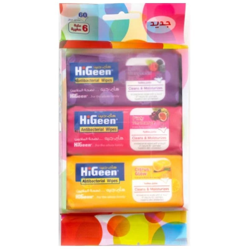 HIGEEN Antibacterial Assorted Mini Pack Wipes - 6X10 Pieces 11061